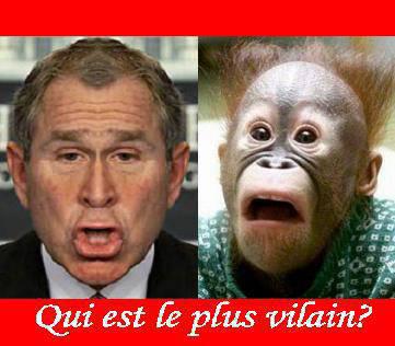 slt